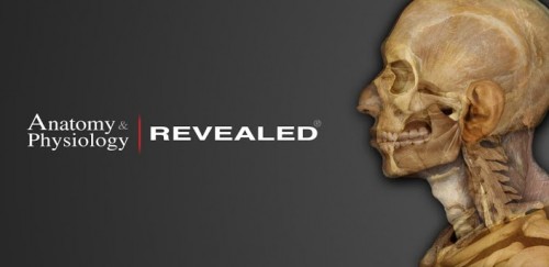Gear Diary Anatomy & Physiology REVEALED App Available for Android photo Gear Diary Anatomy & Physiology REVEALED App Available for Android photo