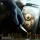 Cognition Episode 2 The Wise Monkey