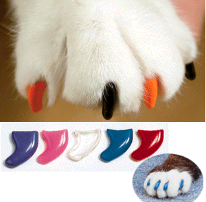 Soft Claws for Cats: Doing the Humane Thing