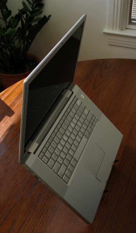 The Cricket Laptop Stand Review