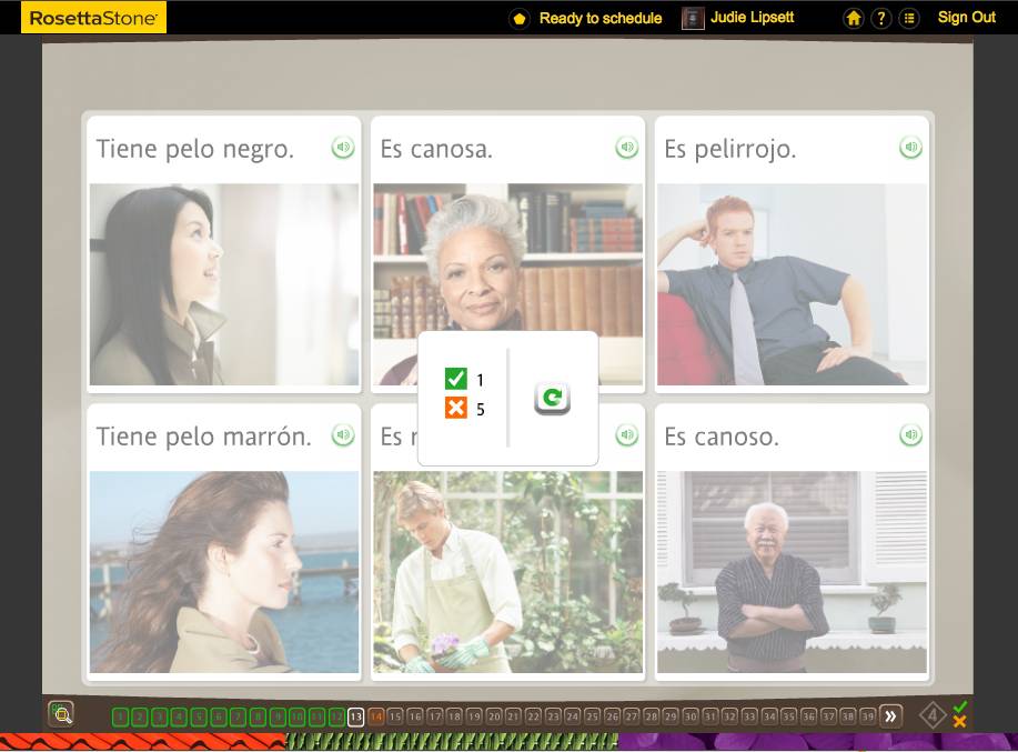 Teaching an Old Dog New Tricks: Week Five into the Rosetta Stone TOTALe Program 13 Teaching an Old Dog New Tricks: Week Five into the Rosetta Stone TOTALe Program