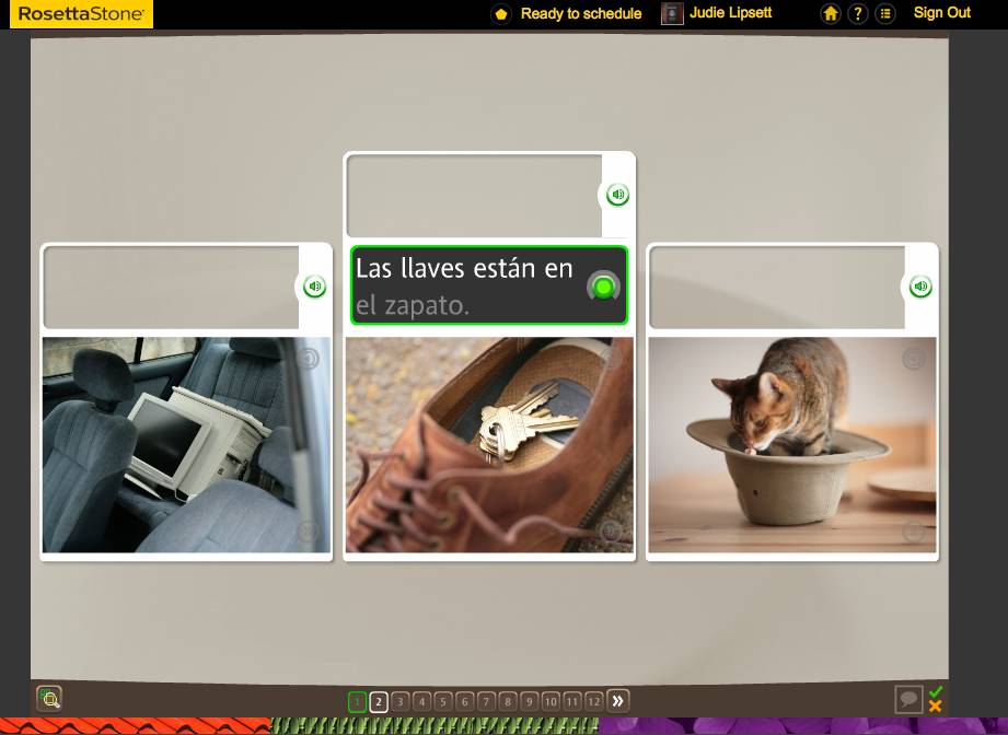 Teaching an Old Dog New Tricks: Week Five into the Rosetta Stone TOTALe Program 28 Teaching an Old Dog New Tricks: Week Five into the Rosetta Stone TOTALe Program