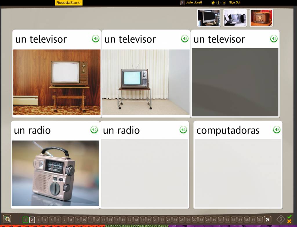 Teaching an Old Dog New Tricks: Week Four into the Rosetta Stone TOTALe Program