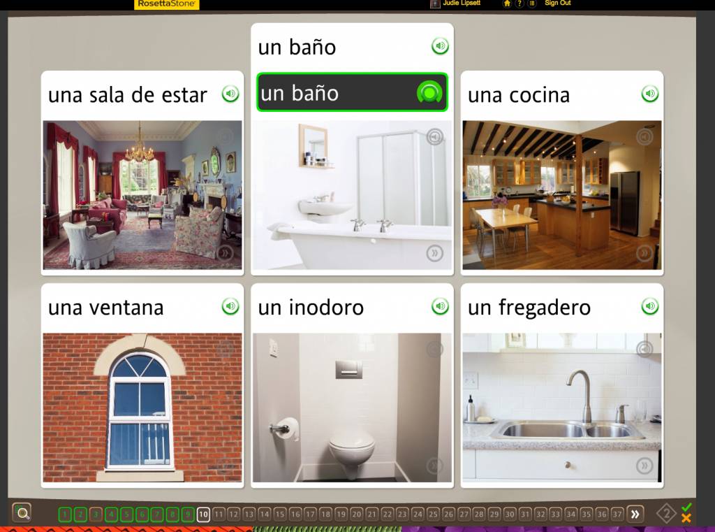 Teaching an Old Dog New Tricks: Week Four into the Rosetta Stone TOTALe Program