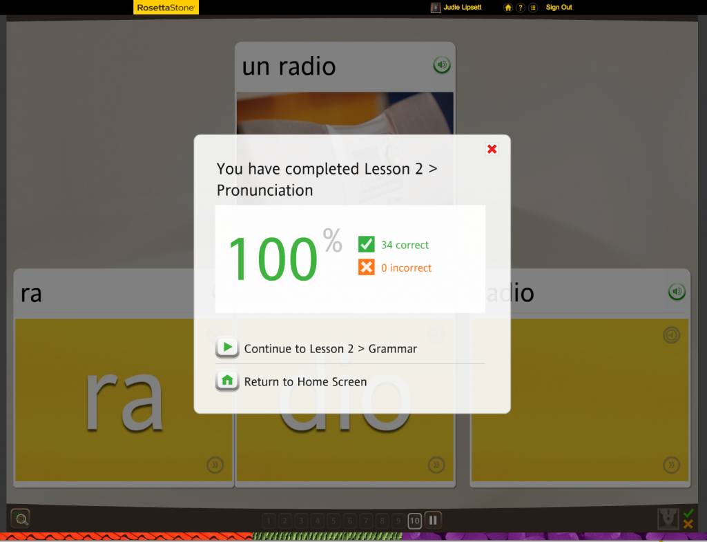 Teaching an Old Dog New Tricks: Week Four into the Rosetta Stone TOTALe Program
