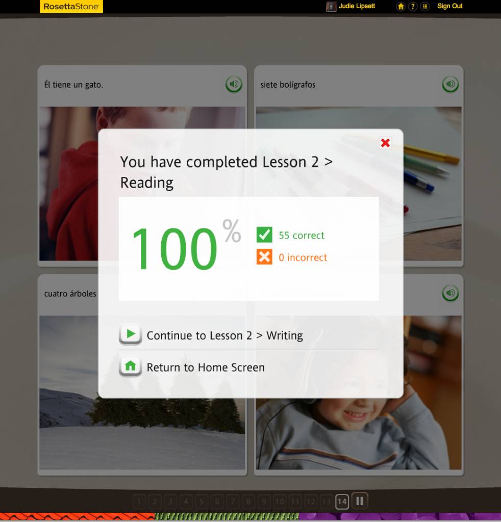 Teaching an Old Dog New Tricks: Week Four into the Rosetta Stone TOTALe Program
