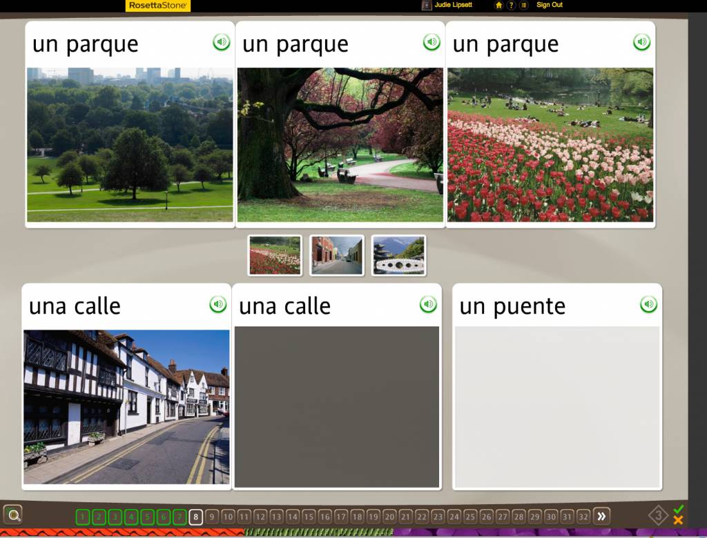 Teaching an Old Dog New Tricks: Week Four into the Rosetta Stone TOTALe Program