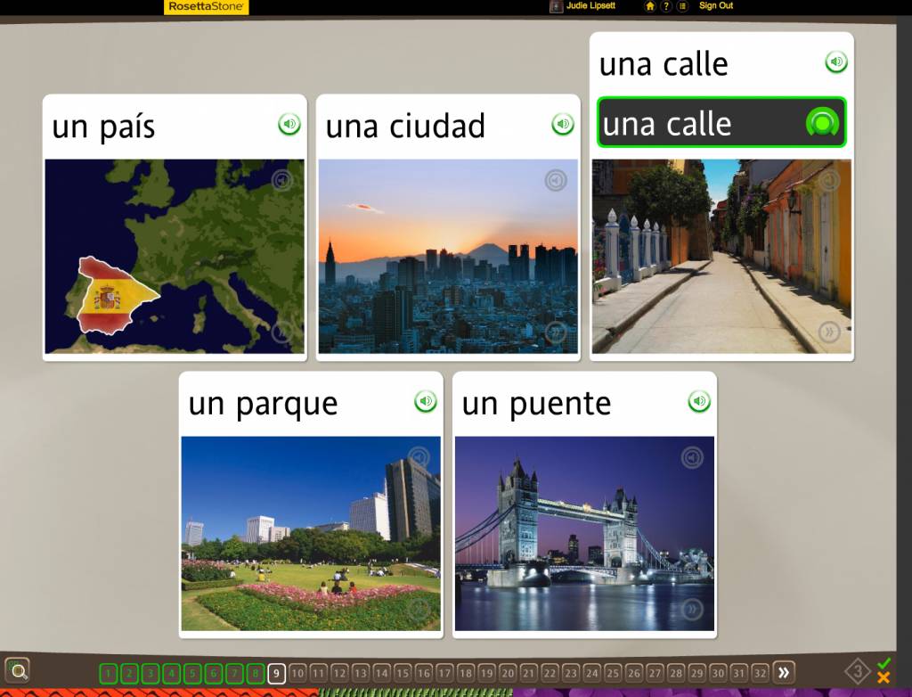 Teaching an Old Dog New Tricks: Week Four into the Rosetta Stone TOTALe Program