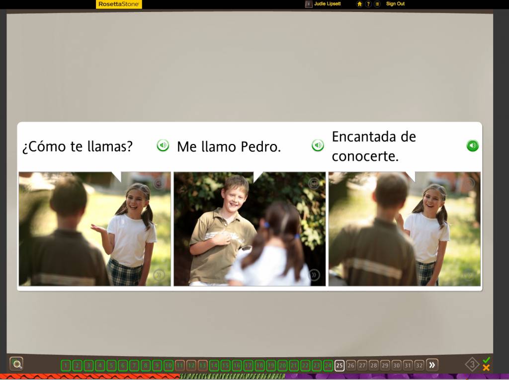 Teaching an Old Dog New Tricks: Week Four into the Rosetta Stone TOTALe Program