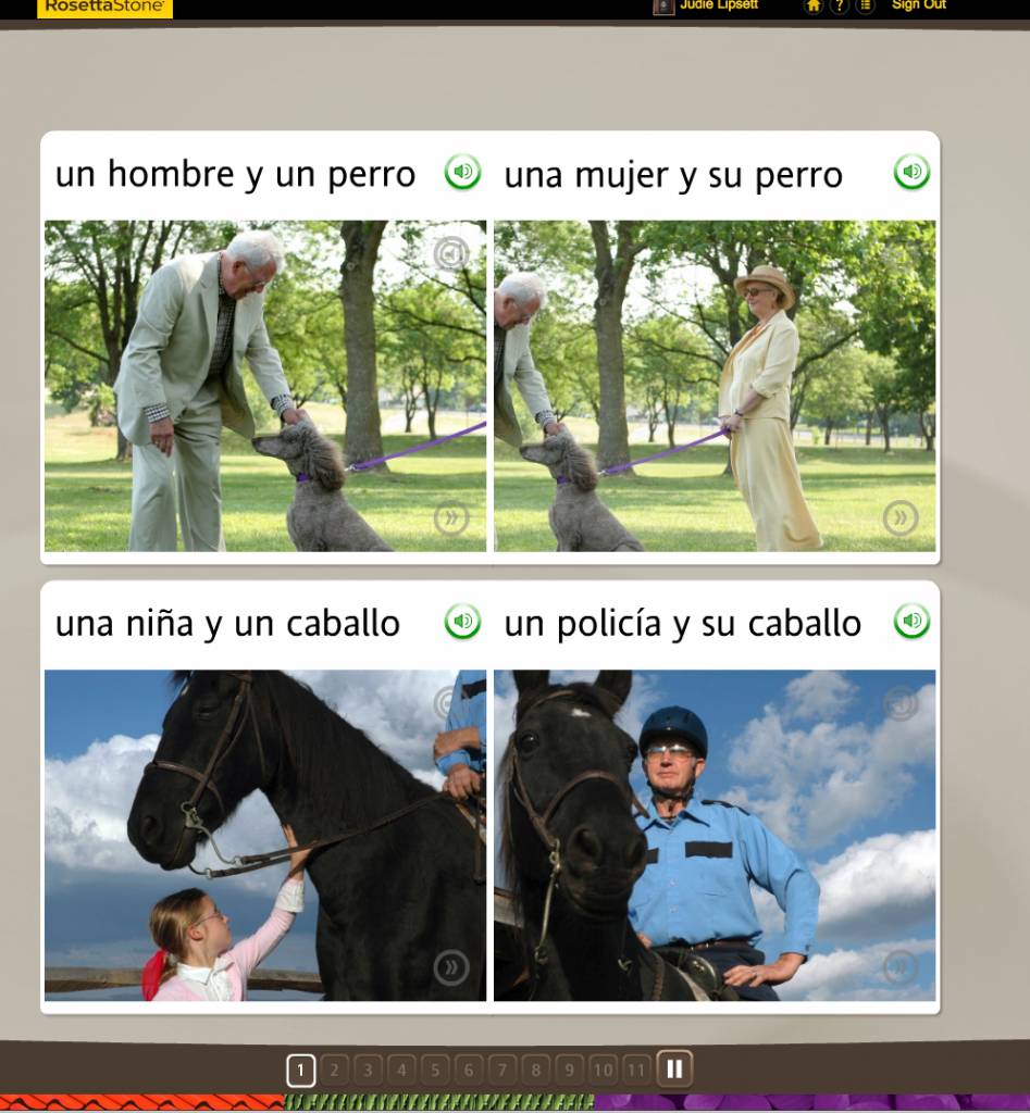 Teaching an Old Dog New Tricks: Week Four into the Rosetta Stone TOTALe Program