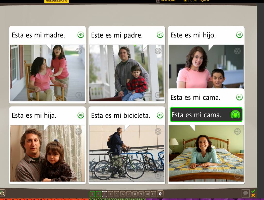 Teaching an Old Dog New Tricks: Week Four into the Rosetta Stone TOTALe Program