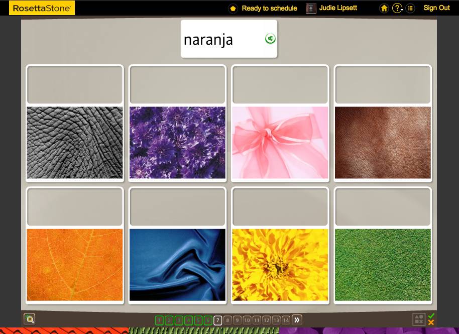 Teaching an Old Dog New Tricks: Week Six into the Rosetta Stone TOTALe Program 23 Teaching an Old Dog New Tricks: Week Six into the Rosetta Stone TOTALe Program