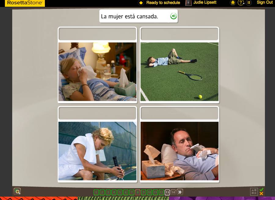 Teaching an Old Dog New Tricks: Week Six into the Rosetta Stone TOTALe Program 28 Teaching an Old Dog New Tricks: Week Six into the Rosetta Stone TOTALe Program