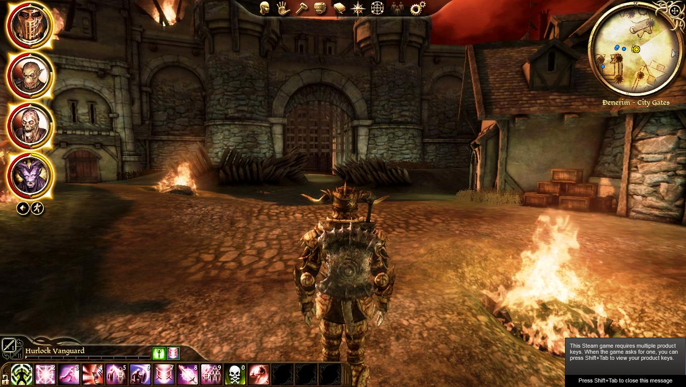  Dragon Age: Origins - PC : Video Games