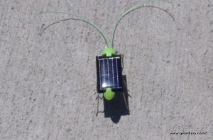EFO's Solar Toys are Fun and Educational