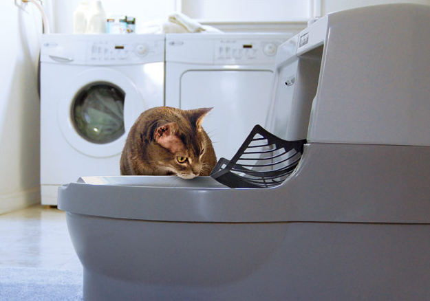 Which Automated Cat Litter Box Is Better? CatGenie vs Litter-Robot