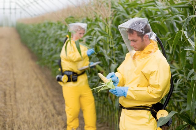Monsanto, Already 'Most Evil Company of 2011', Buys Bee Research Company to Hide Ills