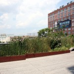 New York City's High Line Park is a Raised Treasure