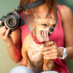 Lensbaby Spark Lets You Take Fun Pics on the Go