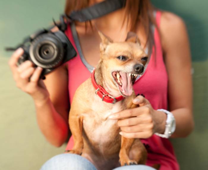 Lensbaby Spark Lets You Take Fun Pics on the Go 26 Lensbaby Spark Lets You Take Fun Pics on the Go