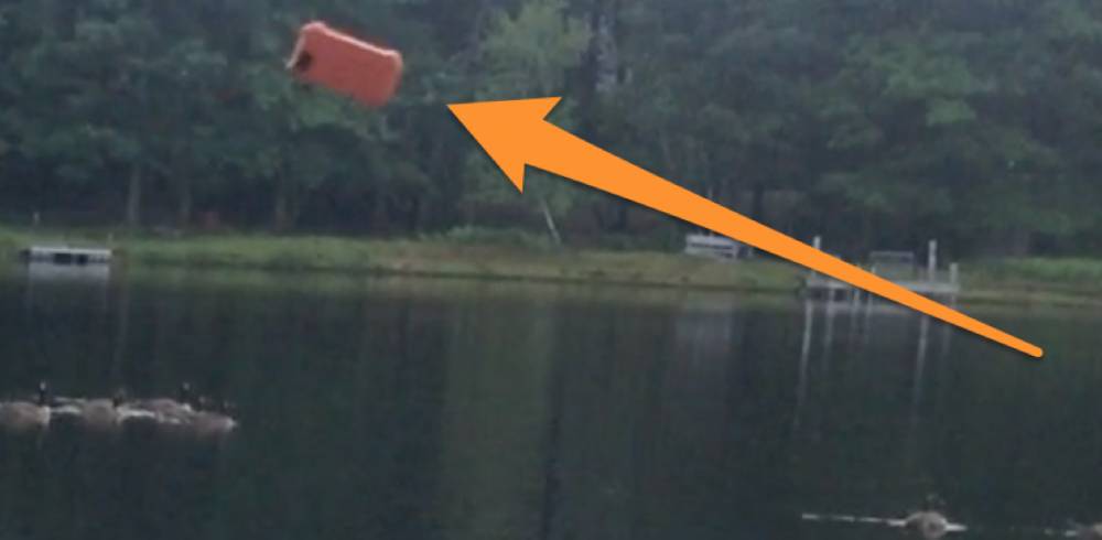 Porter the Dog v iPhone 5, Thanks to the LifeProof LifeJacket!