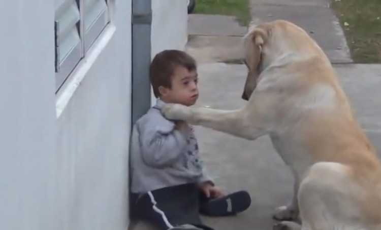 Boy with Down Syndrome + Dog with a World of Patience = A Video to Make Your Heart Melt