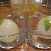 Ice Balls Review: Make those Frozen Spheres that Mixologists Love