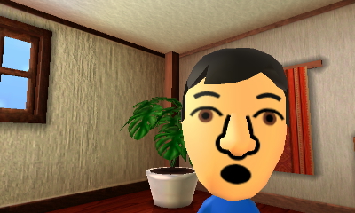 Tomodachi Life Review on Nintendo 3DS