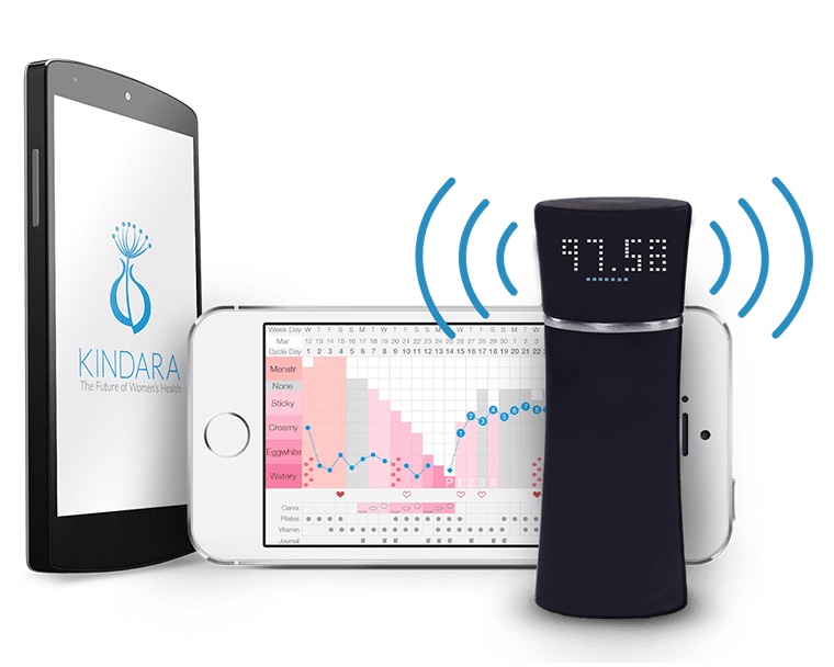 Wink by Kindara Brings Quantified Health Tracking to Fertility