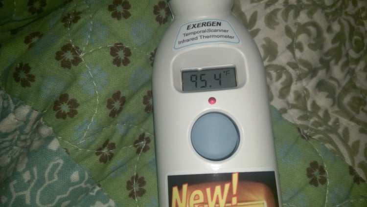 Exergen Smart Glow TemporalScanner Thermometer Review