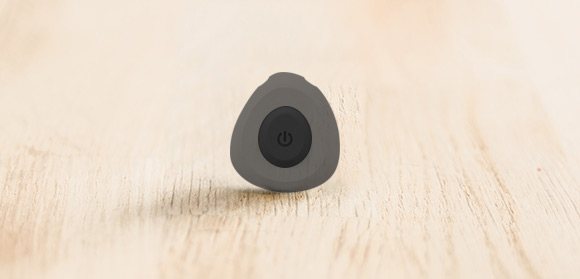 The PebbleBee Stone Will Quickly Locate Your Keys... And Your Pet!