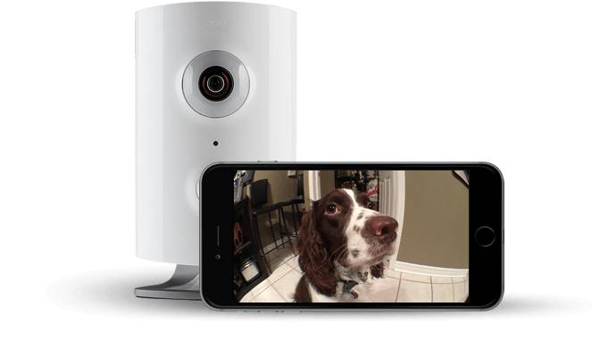 Piper is Packed with Features, Provides Home Security and Automation