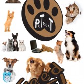 PeTreaT PetPal WiFi Automatic Pet Feeder: Automate Your Pet's Feedings and Have Fun While Doing It