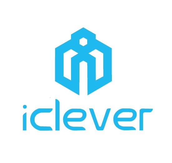 iclever Cover