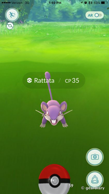 My City Has a Rattata Problem - A Concerned Pokemon Go Player-005