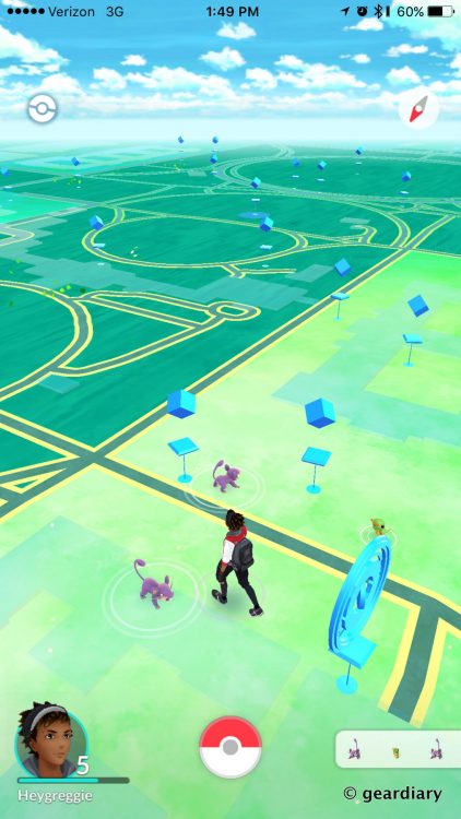 My City Has a Rattata Problem - A Concerned Pokemon Go Player-006