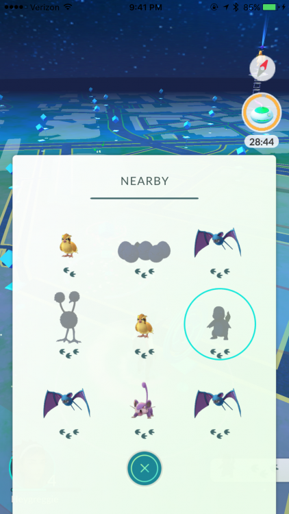 My City Has a Rattata Problem - A Concerned Pokemon Go Player