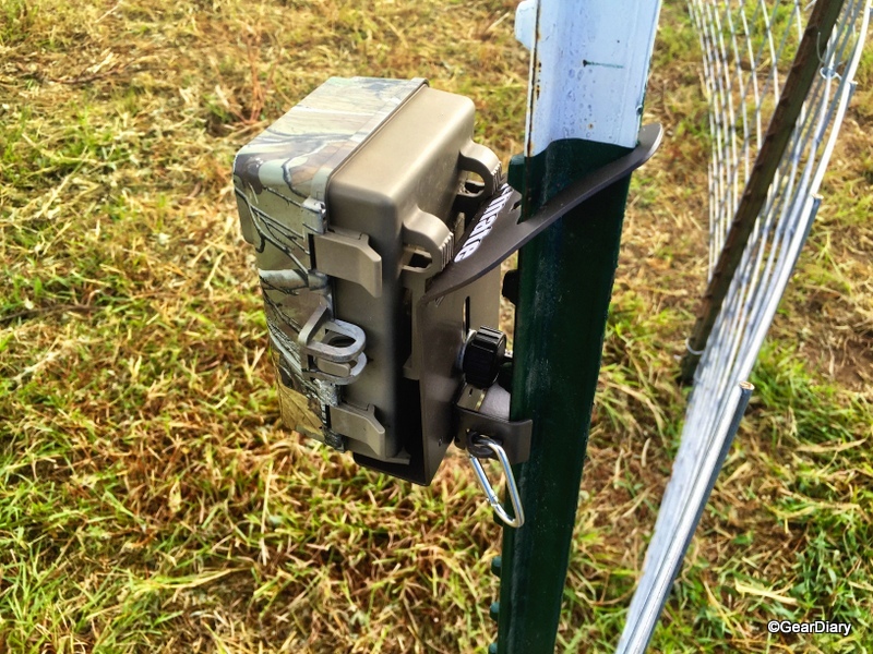 T-Mate Fixes Wildlife Camera Mounting: No More Complaints About Missed Wildlife Photos!