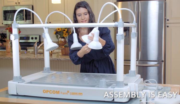 The OPCOM GrowBox and GrowWall: Self-Contained and Soil Free Indoor Gardening 7 The OPCOM GrowBox and GrowWall: Self-Contained and Soil Free Indoor Gardening