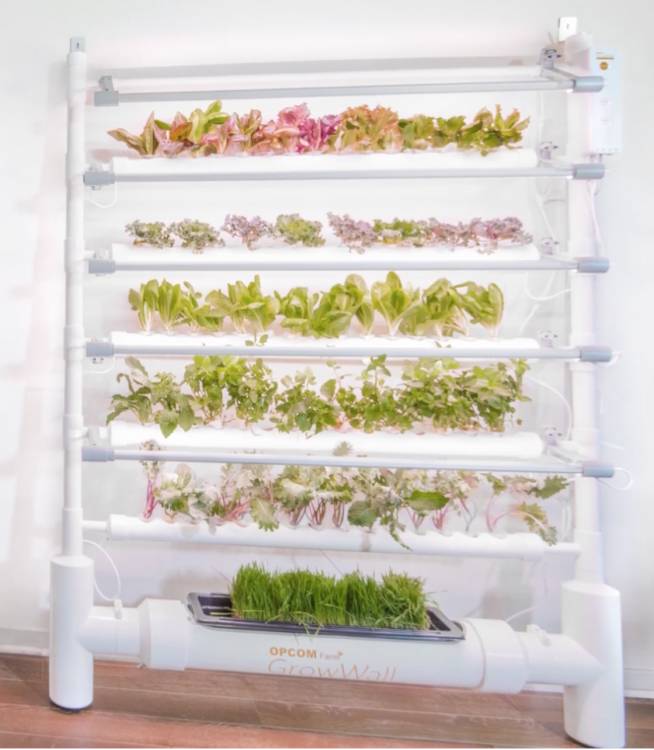 The OPCOM GrowBox and GrowWall: Self-Contained and Soil Free Indoor Gardening 2 The OPCOM GrowBox and GrowWall: Self-Contained and Soil Free Indoor Gardening