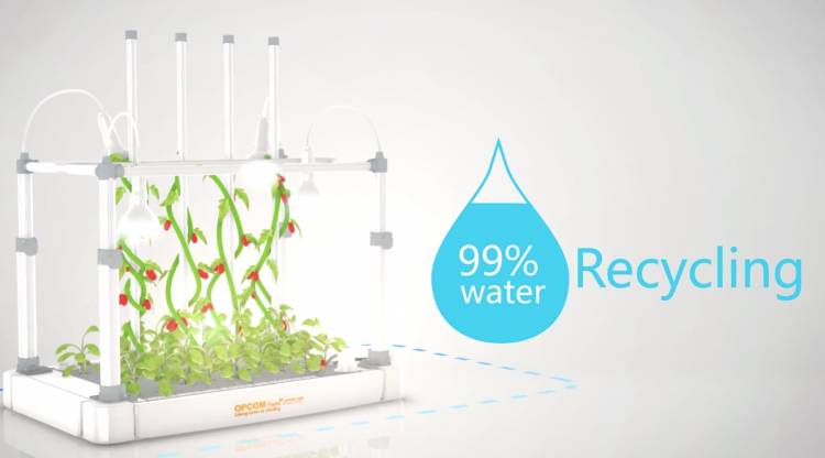 The OPCOM GrowBox and GrowWall: Self-Contained and Soil Free Indoor Gardening 5 The OPCOM GrowBox and GrowWall: Self-Contained and Soil Free Indoor Gardening