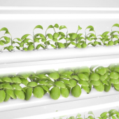 The OPCOM GrowBox and GrowWall: Self-Contained and Soil Free Indoor Gardening