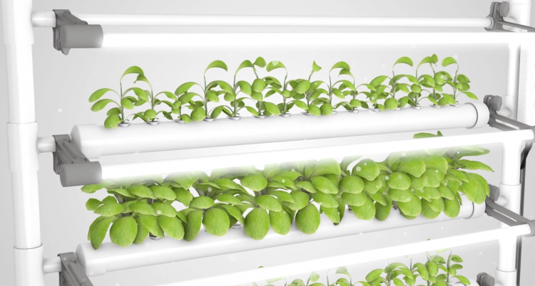 The OPCOM GrowBox and GrowWall: Self-Contained and Soil Free Indoor Gardening