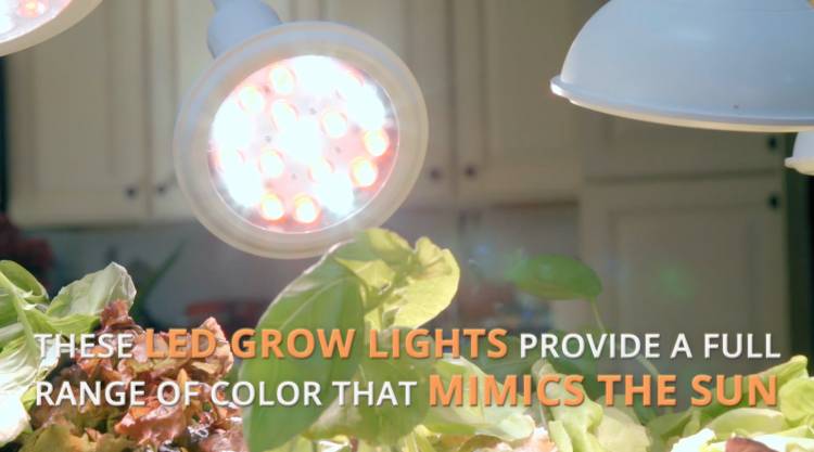 The OPCOM GrowBox and GrowWall: Self-Contained and Soil Free Indoor Gardening 3 The OPCOM GrowBox and GrowWall: Self-Contained and Soil Free Indoor Gardening