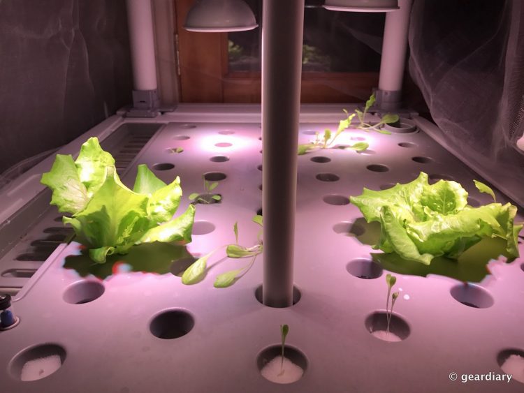 OPCOM Farm GrowBox Indoor Hydroponic Gardening System