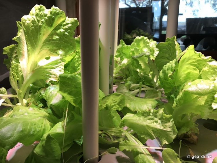 OPCOM Farm GrowBox Indoor Hydroponic Gardening System