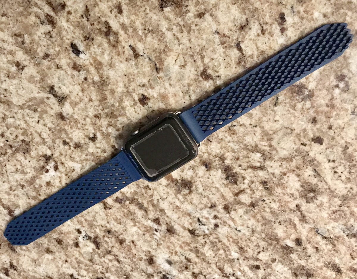The Labb by Noomoon: My Favorite Apple Watch Band