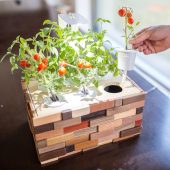 Click & Grow Creates an Affordable DIY Indoor Garden