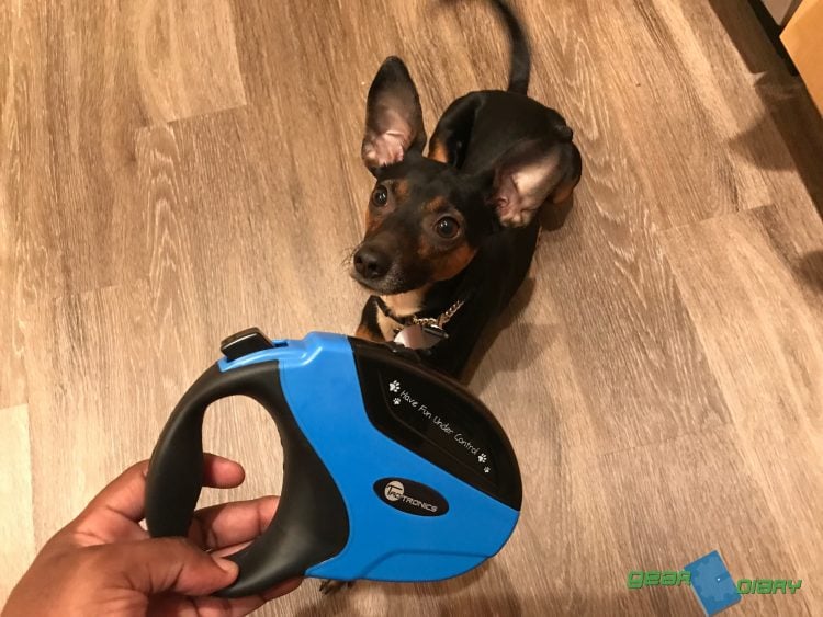 Give Your Puppy Some Extra Lead with the TaoTronic Retractable Dog Leash
