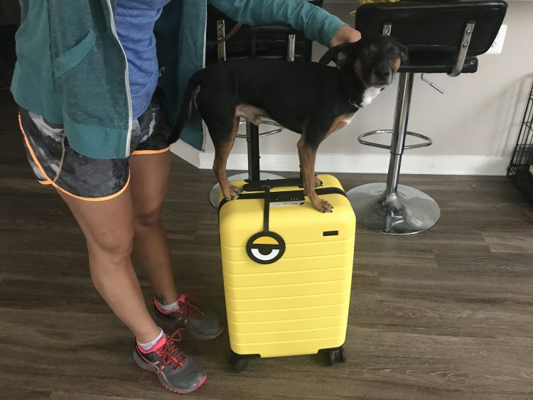 Your Carry-On Luggage Will Stand Out with Away’s New Minion Yellow Suitcase
